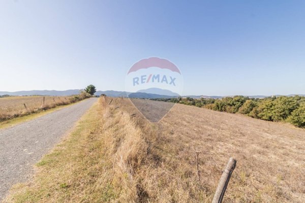 terreno agricolo in vendita ad Ischia di Castro