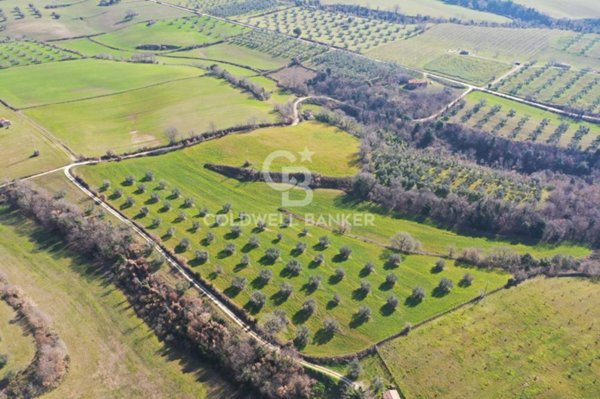 terreno agricolo in vendita ad Ischia di Castro