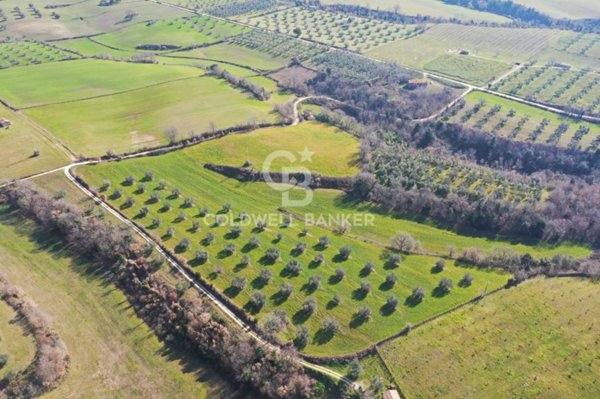 terreno agricolo in vendita ad Ischia di Castro