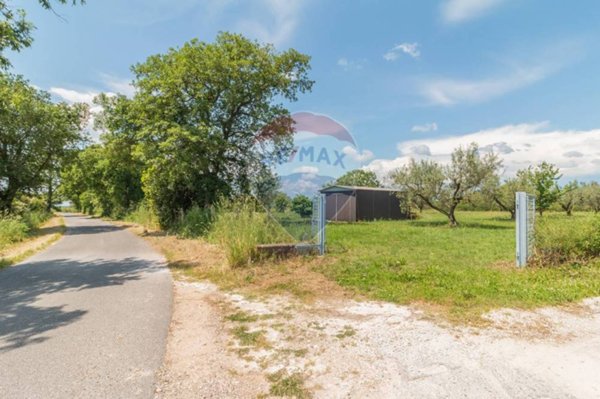 terreno agricolo in vendita ad Ischia di Castro