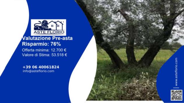 terreno agricolo in vendita ad Ischia di Castro