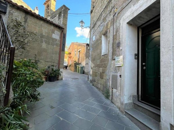 appartamento in vendita ad Ischia di Castro