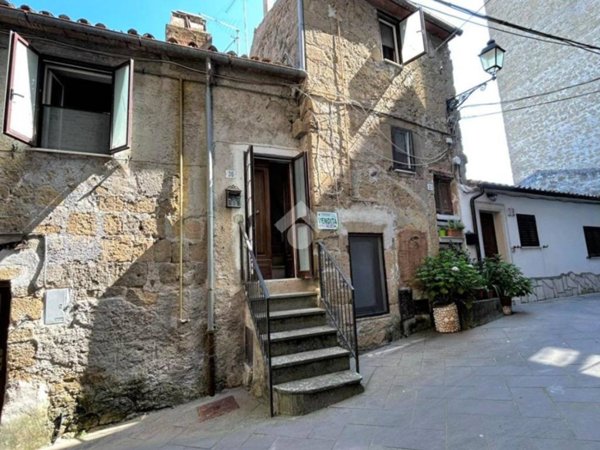 appartamento in vendita ad Ischia di Castro