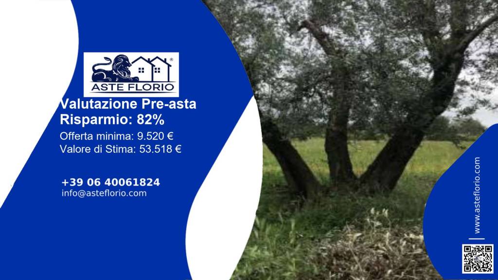 terreno agricolo in vendita ad Ischia di Castro