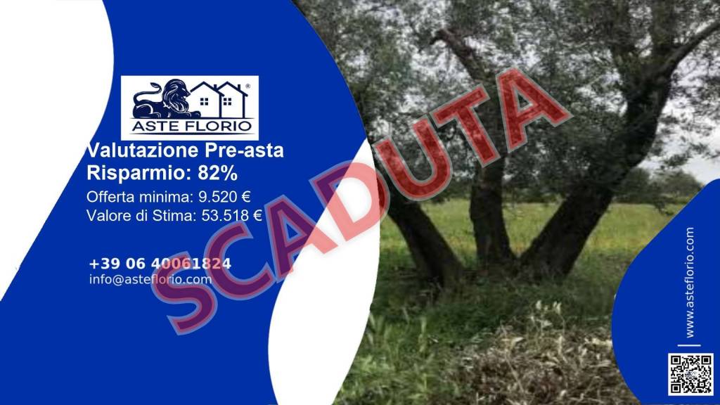 locale di sgombero in vendita ad Ischia di Castro