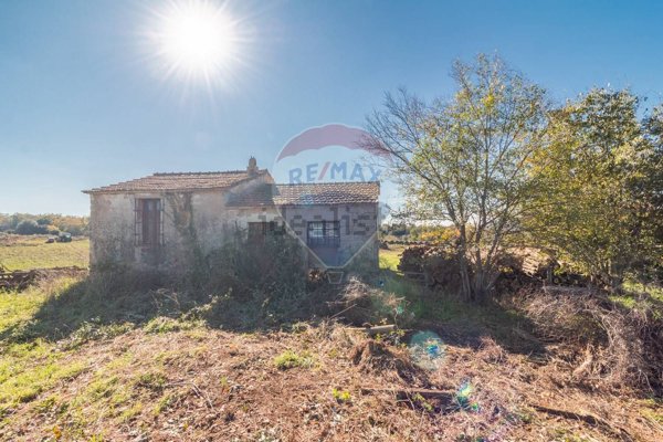 terreno agricolo in vendita ad Ischia di Castro