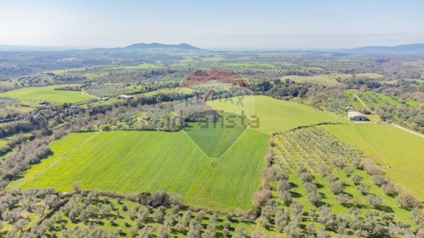 terreno agricolo in vendita ad Ischia di Castro