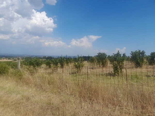 terreno in vendita ad Ischia di Castro