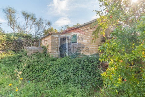 terreno in vendita ad Ischia di Castro