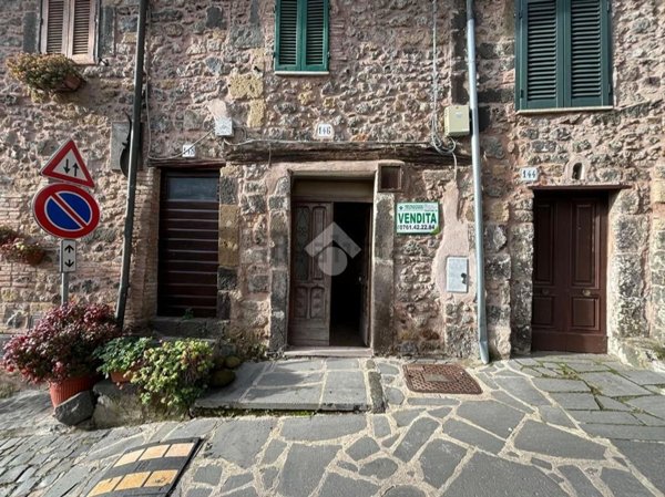 appartamento in vendita a Latera