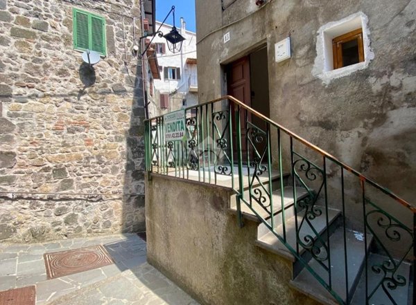 appartamento in vendita a Latera