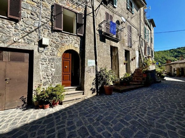 appartamento in vendita a Latera