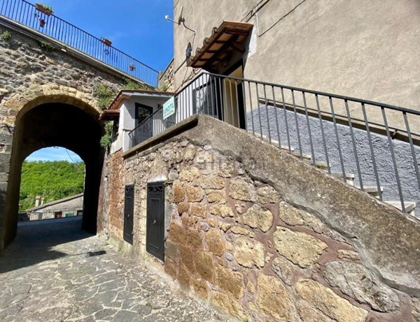 appartamento in vendita a Latera