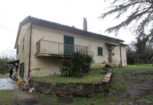 appartamento in vendita a Latera