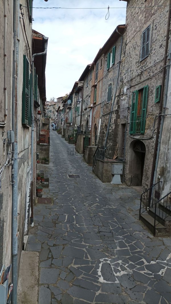 appartamento in vendita a Latera