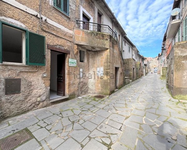 appartamento in vendita a Latera