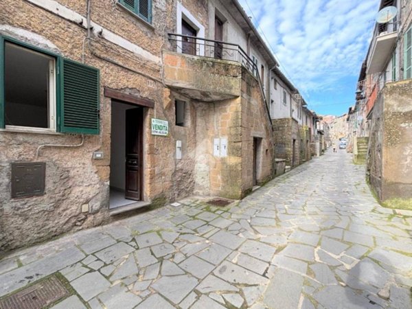 appartamento in vendita a Latera