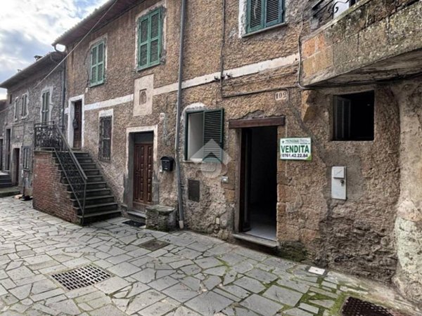 appartamento in vendita a Latera