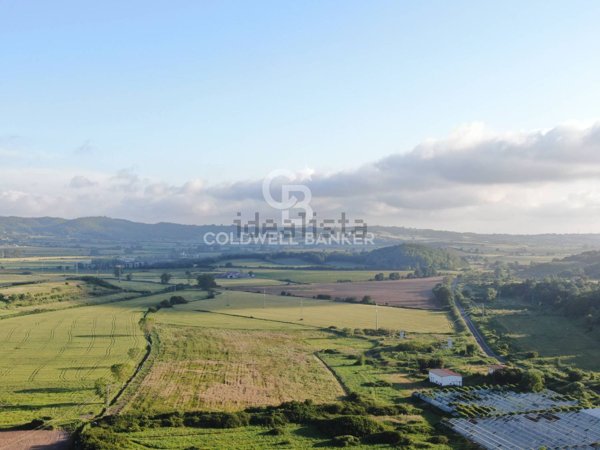 terreno agricolo in vendita a Latera