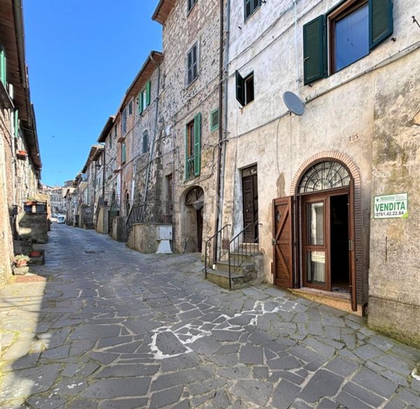 appartamento in vendita a Latera