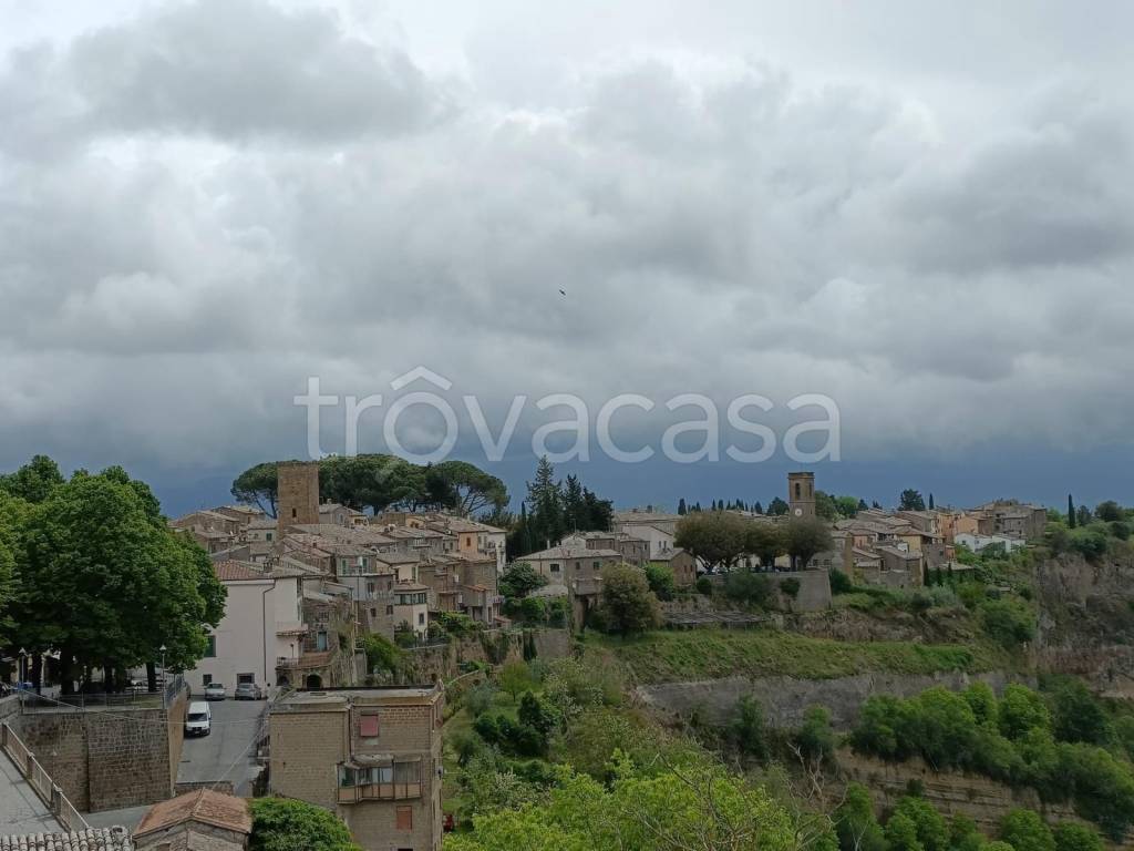 terreno agricolo in vendita a Lubriano