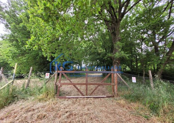 terreno agricolo in vendita a Lubriano