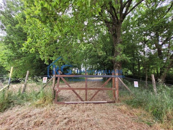 terreno agricolo in vendita a Lubriano