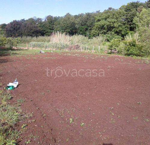 terreno agricolo in vendita a Marta