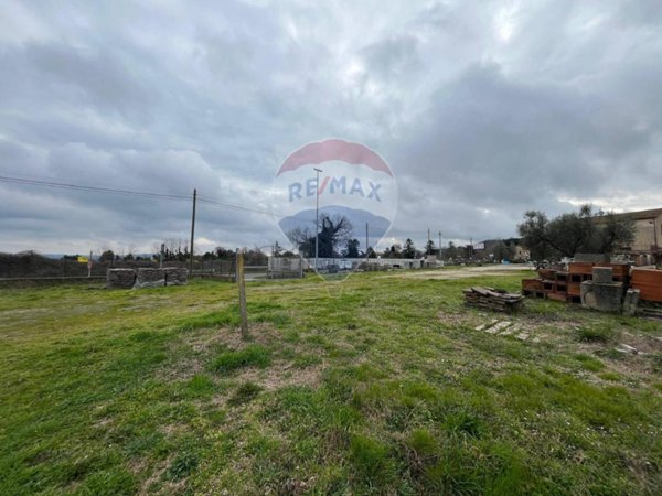 terreno agricolo in vendita a Marta