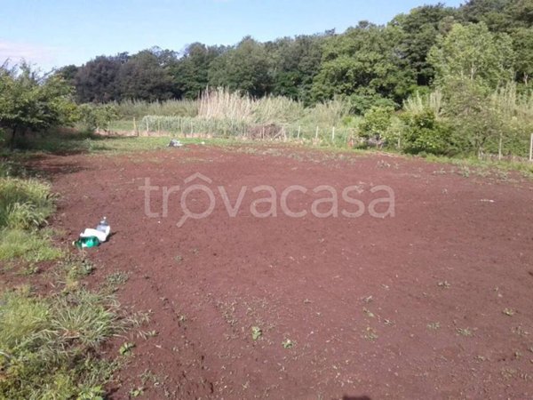 terreno agricolo in vendita a Marta