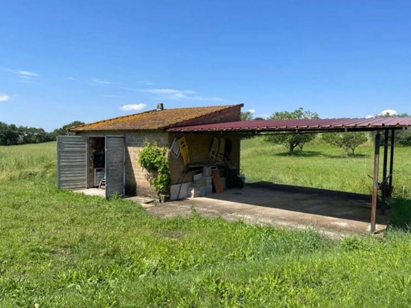 negozio in vendita a Marta