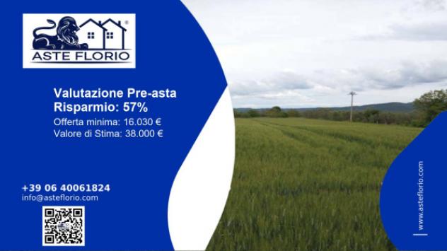 terreno agricolo in vendita a Marta