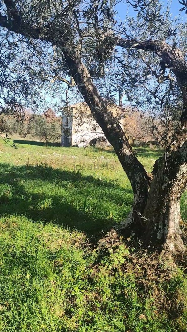 appartamento in vendita a Marta