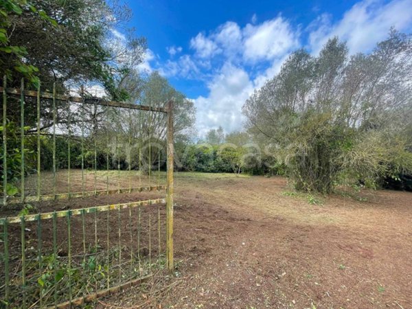 casa indipendente in vendita a Marta