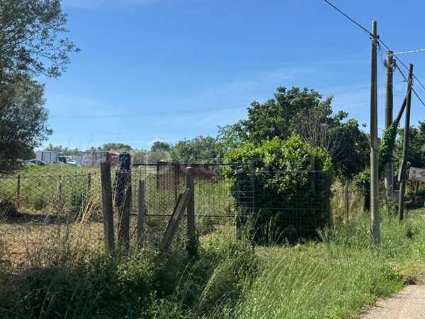 terreno in vendita a Marta