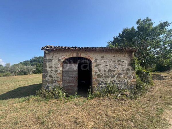 casa indipendente in vendita a Marta
