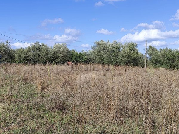 terreno in vendita a Marta