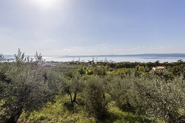terreno in vendita a Marta