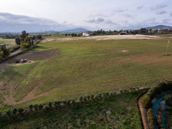 terreno agricolo in vendita a Montalto di Castro in zona Pescia Romana