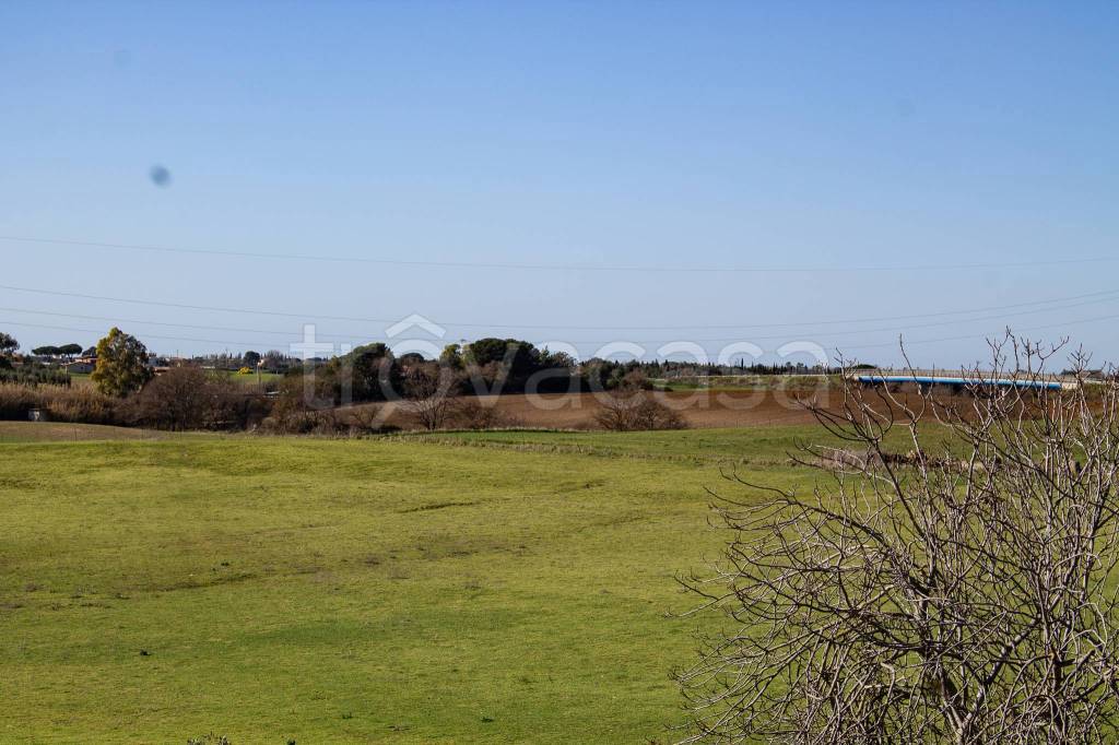 terreno agricolo in vendita a Montalto di Castro in zona Pescia Romana