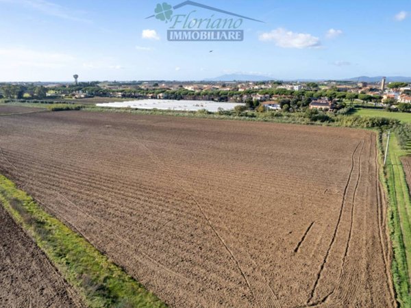 terreno agricolo in vendita a Montalto di Castro in zona Pescia Romana