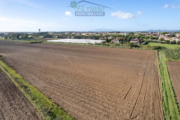 terreno agricolo in vendita a Montalto di Castro in zona Pescia Romana
