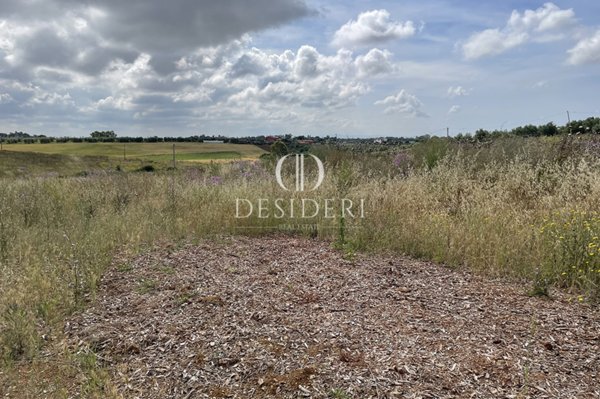 terreno agricolo in vendita a Montalto di Castro in zona Pescia Romana