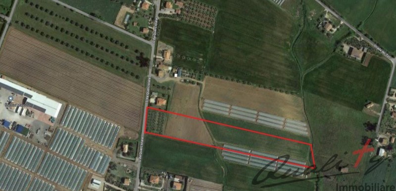 terreno agricolo in vendita a Montalto di Castro