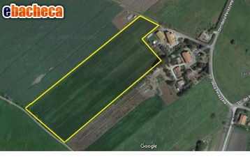 terreno agricolo in vendita a Montalto di Castro in zona Pescia Romana