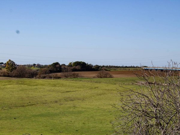 terreno agricolo in vendita a Montalto di Castro in zona Pescia Romana