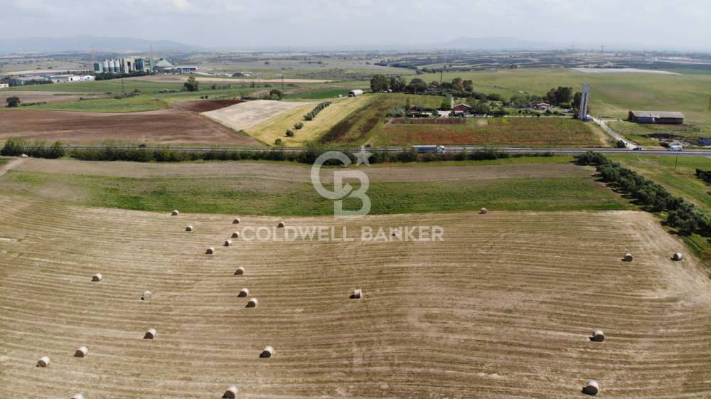 terreno agricolo in vendita a Montalto di Castro