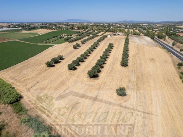terreno agricolo in vendita a Montalto di Castro in zona Pescia Romana
