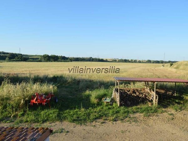 terreno agricolo in vendita a Montalto di Castro
