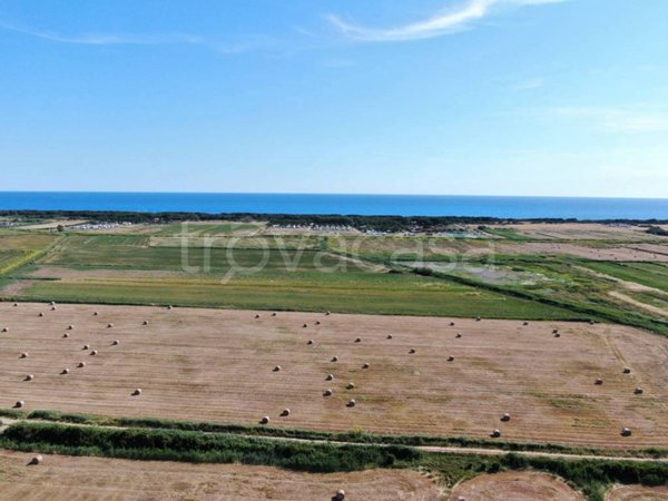 terreno agricolo in vendita a Montalto di Castro in zona Pescia Romana